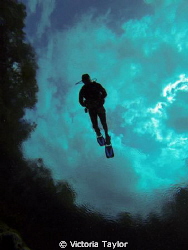 Alexander Springs Florida diver flying through the sky.  ... by Victoria Taylor 
